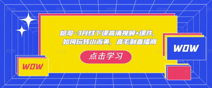 哈哥·3月线下实操课高清视频+课件，如何玩转小而美，高毛利直播间-三石资源库