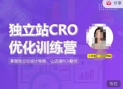 独立站CRO优化训练营，掌握独立站设计秘籍，打造高转化的独立站，让店铺ROI翻倍-三石资源库