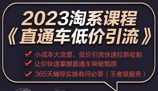 2023直通车低价引流玩法课程，小成本大流量，低价引流快速拉新收割，让你快速掌握直通车突破瓶颈-三石淘金网
