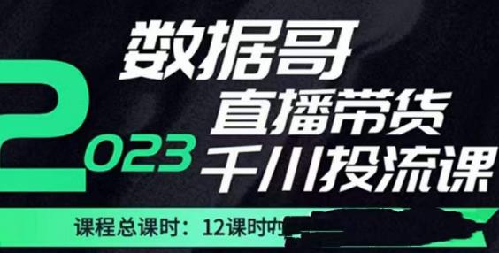 数据哥2023直播电商巨量千川付费投流实操课，快速掌握直播带货运营投放策略-三石淘金网