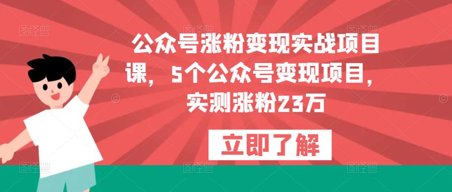 公众号涨粉变现实战项目课，5个公众号变现项目，实测涨粉23万-三石资源库