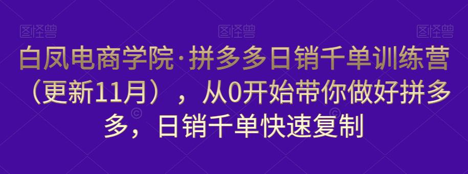 白凤电商学院·拼多多日销千单训练营，从0开始带你做好拼多多，日销千单快速复制（更新知2023年3月）-三石资源库