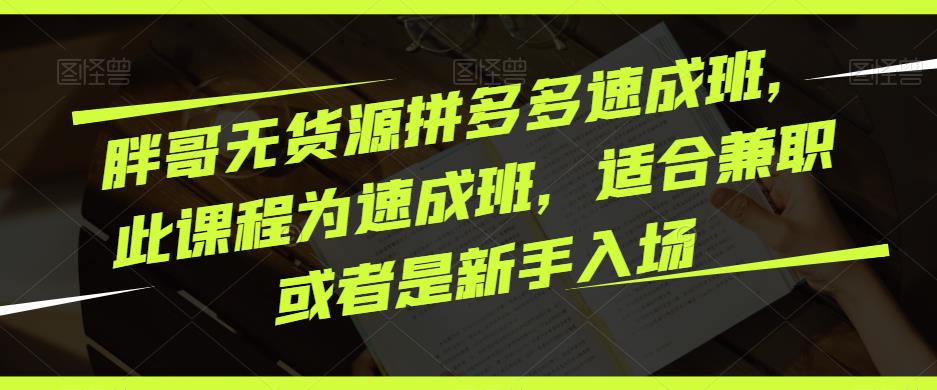 胖哥无货源拼多多速成班，此课程为速成班，适合兼职或者是新手入场-三石淘金网