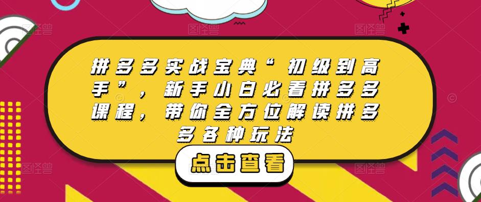 拼多多实战宝典“初级到高手”，新手小白必看拼多多课程，带你全方位解读拼多多各种玩法-三石淘金网