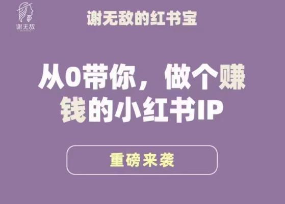 谢无敌·小红书运营大宝典，从0带你做个赚钱的小红书IP-三石资源库