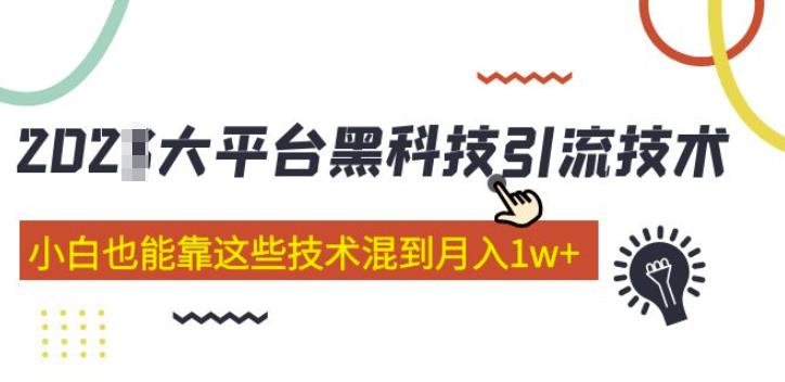 大平台黑科技引流技术，小白也能靠这些技术混到月入1w+(2022年的课程）-三石资源库