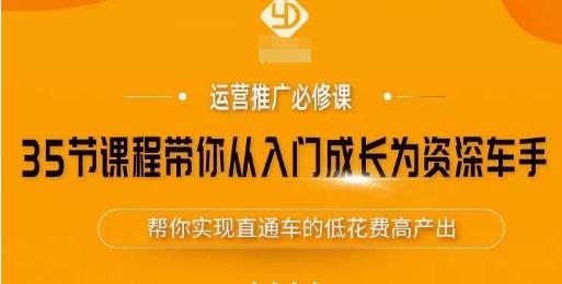35节课程带你从入门成长为资深车手，让系统学习直通车成为可能，帮你实现直通车的低花费高产出-三石资源库