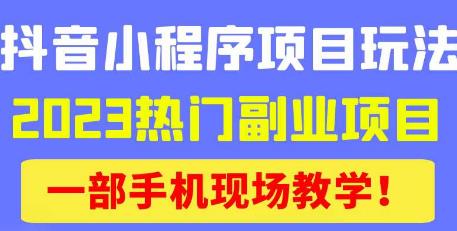 抖音小程序9.0新技巧，2023热门副业项目，动动手指轻松变现-三石资源库