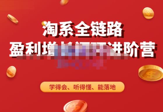 淘系全链路盈利增长闭环进阶营，融合全店动销，学得会、听得懂、能落地！-三石资源库