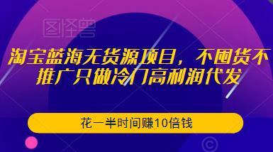 淘宝蓝海无货源项目，不囤货不推广只做冷门高利润代发，花一半时间赚10倍钱-三石资源库