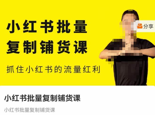 张宾·小红书批量复制铺货课，抓住小红书的流量红利 （更新2023年2月）-三石淘金网