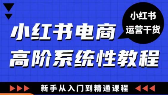 小红书电商高阶系统教程，新手从入门到精通系统课-三石资源库