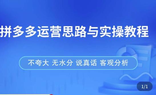拼多多店铺运营思路与实操教程，快速学会拼多多开店和运营，少踩坑，多盈利-三石资源库