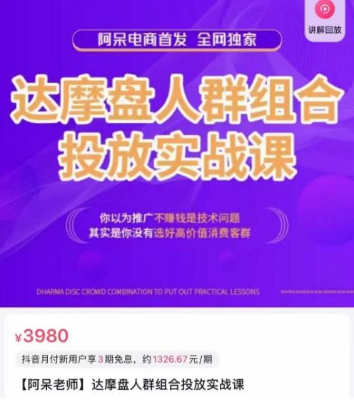 阿呆电商·达摩盘人群组合投放实战课，你以为推广不赚钱是技术问题，其实是你没有选好高价值消费客群-三石淘金网
