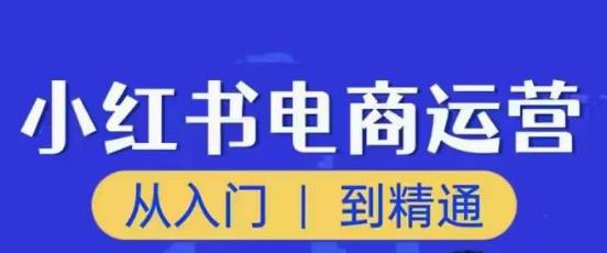 顽石小红书电商高阶运营课程，从入门到精通，玩法流程持续更新-三石资源库