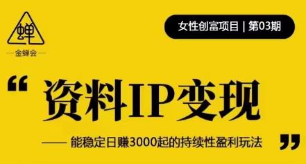 资料IP变现，能稳定日赚3000起的持续性盈利玩法-三石资源库