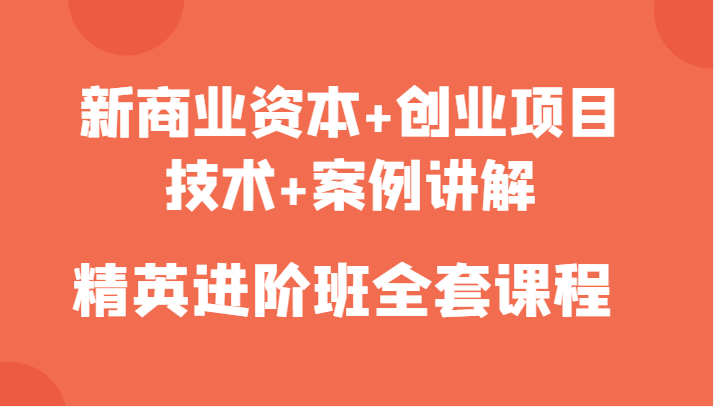 新商业资本+创业项目，技术+案例讲解，精英进阶班全套课程-三石资源库