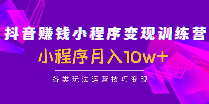 抖音赚钱小程序变现训练营：小程序月入10w+各类玩法运营技巧变现-三石资源库