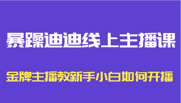 暴躁迪迪线上主播课，金牌主播教新手小白如何开播-三石淘金网