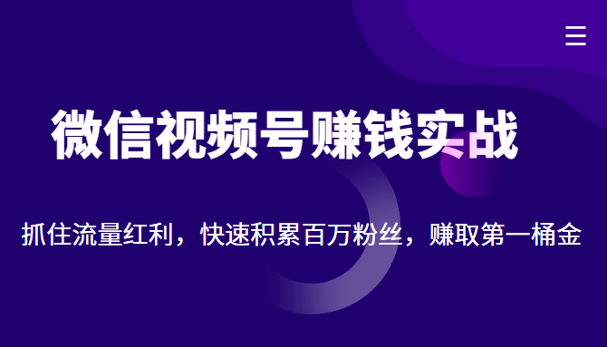 微信视频号赚钱实战：抓住流量红利，快速积累百万粉丝，赚取你的第一桶金-三石资源库