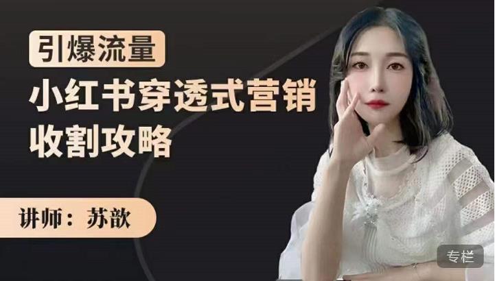 苏歆：小红书穿透式营销收割攻略，引爆流量，助你玩转小红书-三石资源库