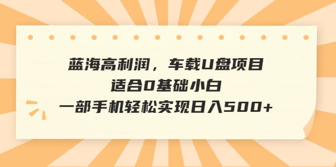 蓝海高利润，车载U盘项目，适合0基础小白，一部手机轻松实现日入500+-三石资源库
