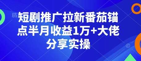 短剧推广拉新番茄锚点半月收益1万+大佬分享实操-三石淘金网