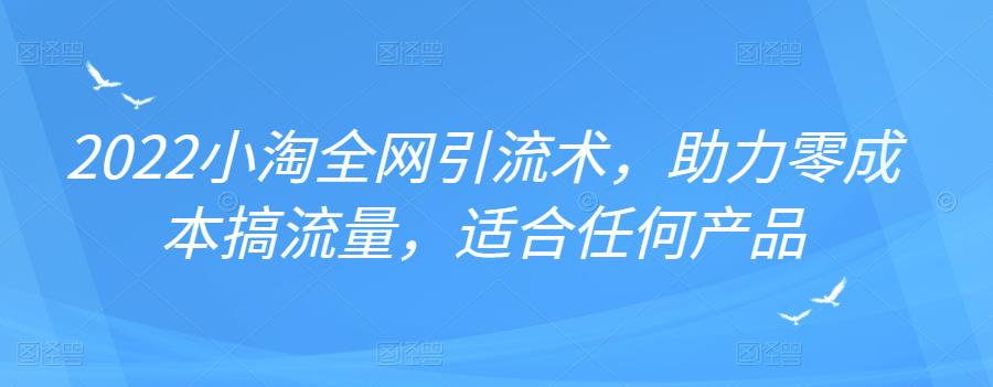 2022年小淘全网引流术，助力零成本搞流量，适合任何产品-三石资源库