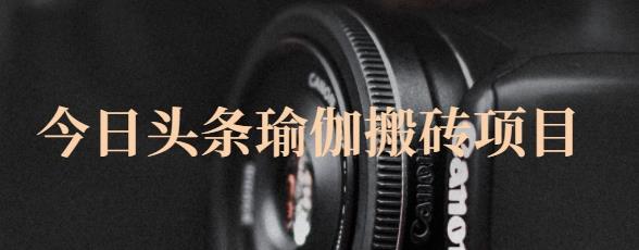 猎人社区·今日头条瑜伽搬砖项目，单号一天几十收入，可以批量操作！-三石资源库