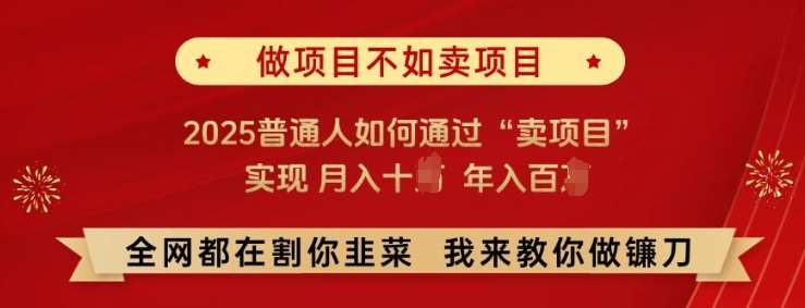必看!做项目不如卖项目，2025普通人如何通过“卖项目”实现月入十个，年入百个【揭秘】-三石资源库