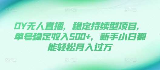 DY无人直播，稳定持续型项目，单号稳定收入500+，新手小白都能轻松月入过万【揭秘】-三石资源库