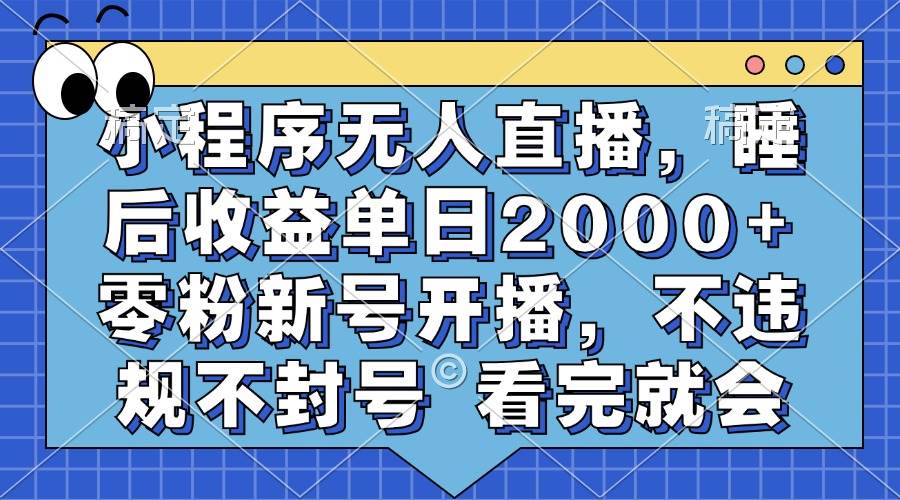 （13251期）小程序无人直播，睡后收益单日2000+ 零粉新号开播，不违规不封号 看完就会-三石资源库