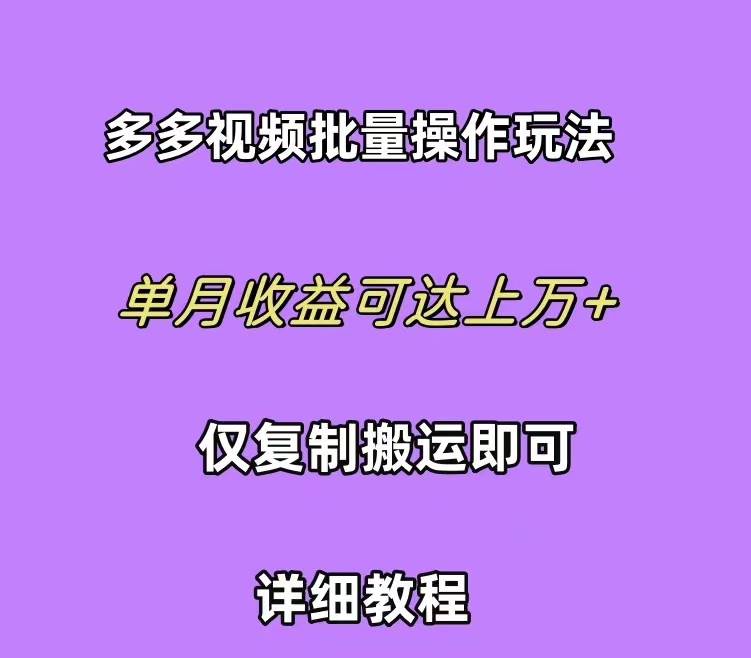 （10029期）拼多多视频带货快速过爆款选品教程 每天轻轻松松赚取三位数佣金 小白必…-三石资源库