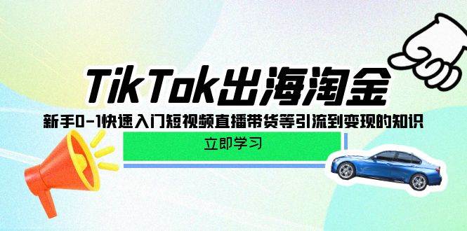 （10035期）TikTok-出海淘金，新手0-1快速入门短视频直播带货等引流到变现的知识-三石资源库