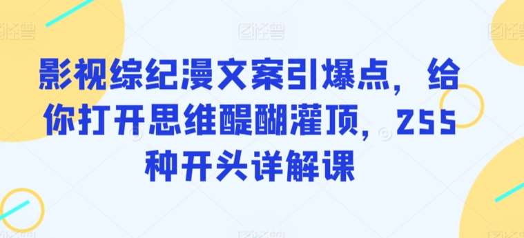 影视综纪漫文案引爆点，给你打开思维醍醐灌顶，255种开头详解课-三石资源库