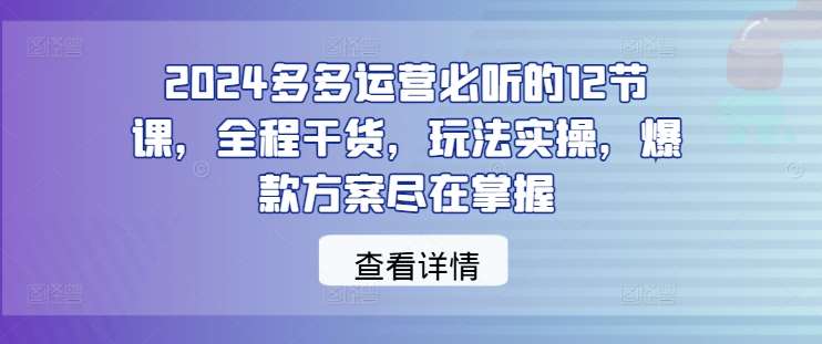 2024多多运营必听的12节课，全程干货，玩法实操，爆款方案尽在掌握-三石资源库