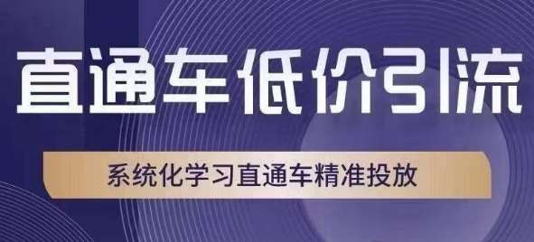直通车低价引流课，系统化学习直通车精准投放-三石资源库