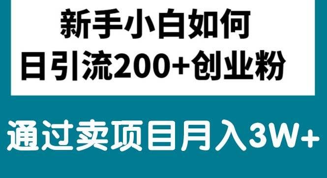 （10843期）新手小白日引流200+创业粉,通过卖项目月入3W+-三石资源库