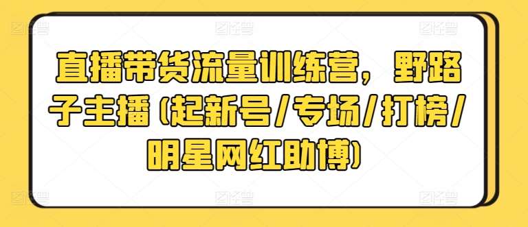 直播带货流量训练营，野路子主播(起新号/专场/打榜/明星网红助博)-三石资源库