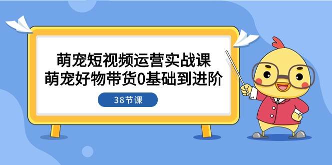 萌宠·短视频运营实战课：萌宠好物带货0基础到进阶（38节课）-三石资源库