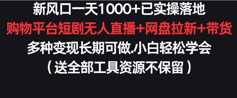 新风口一天1000+已实操落地购物平台短剧无人直播+网盘拉新+带货多种变现长期可做【揭秘】-三石资源库