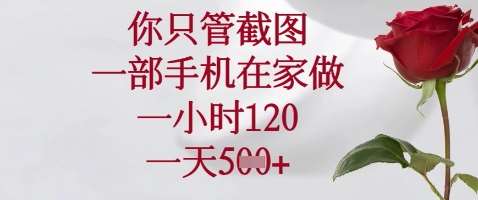 你只管截图，一部手机在家做，苹果安卓都可以，一小时120，一天5张+【揭秘】-三石淘金网