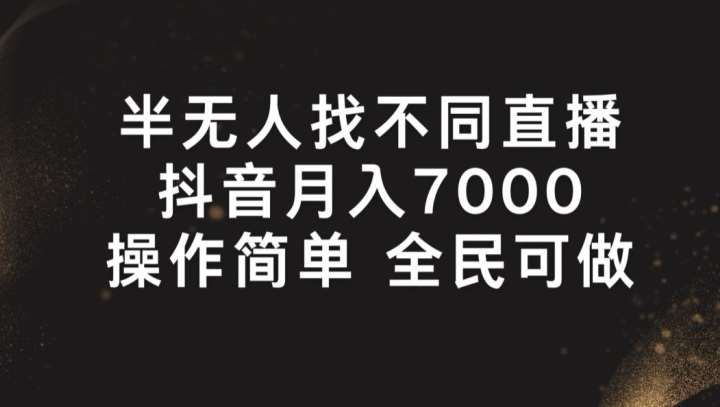 半无人找不同直播，月入7000+，操作简单 全民可做【揭秘】-三石资源库