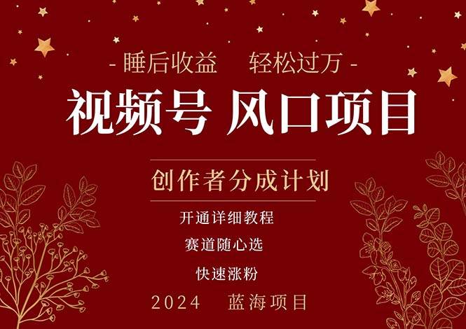 （11331期）拥有睡眠收益的微信视频号大风口项目，轻松月入过万+，多赛道选择，可…-三石资源库