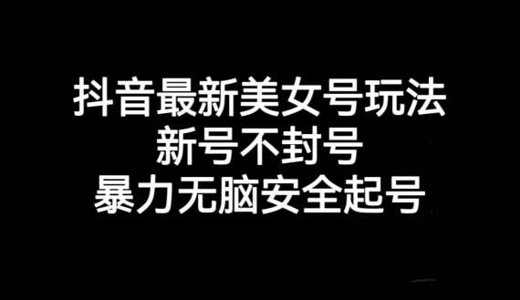 抖音最新美女号玩法，新号不封号，暴力无脑安全起号【揭秘】-三石淘金网