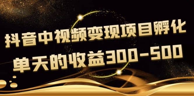黄岛主《抖音中视频变现项目孵化》单天的收益300-500 操作简单粗暴-三石资源库