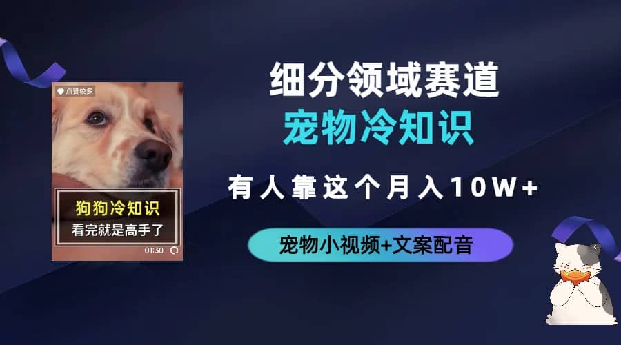 不起眼的抖音细分赛道-宠物冷知识，一段宠物视频配文案，有人靠这个月入10w-三石淘金网