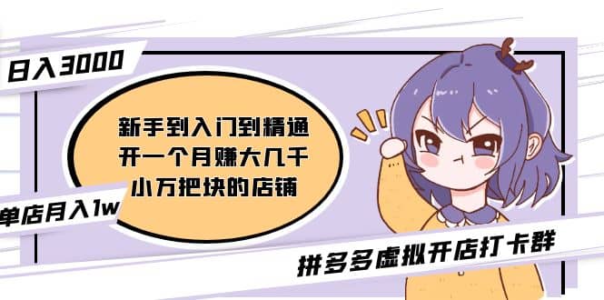 拼多多虚拟开店打卡群：新手到入门到精通-三石资源库
