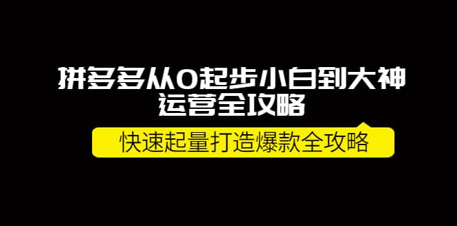拼多多从0起步小白到大神运营全攻略-三石资源库