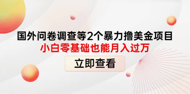 国外问卷调查等2个暴力撸美元项目，小白零基础也能月入过万-三石资源库